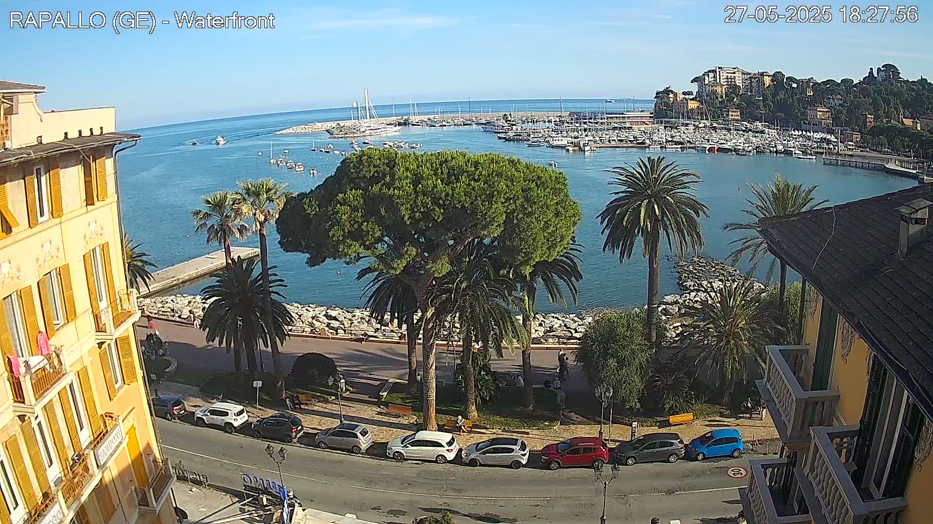 A waterfront view on a sunny day shows a harbor filled with boats, palm trees lining a paved walkway next to a yellow building, and cars parked along a street.