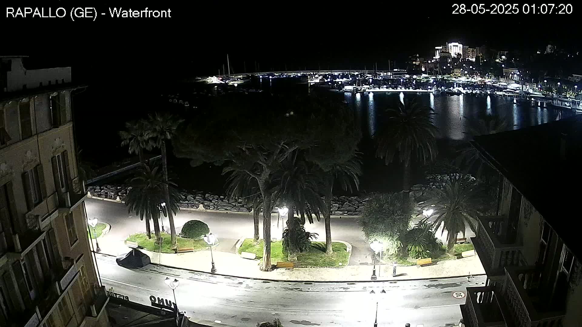A nighttime view of a waterfront city, showing a calm harbor filled with boats and a palm tree-lined promenade with streetlights illuminating the scene.