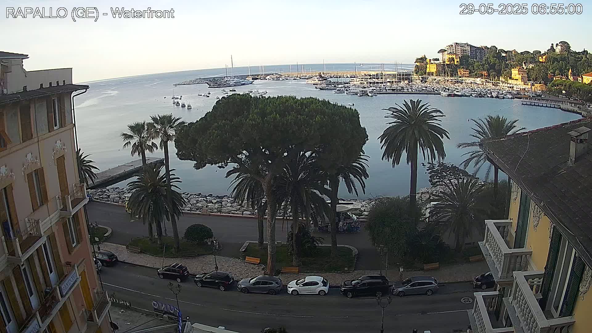 A calm harbor filled with boats is viewed from above, surrounded by palm trees, buildings, and parked cars on a clear day.