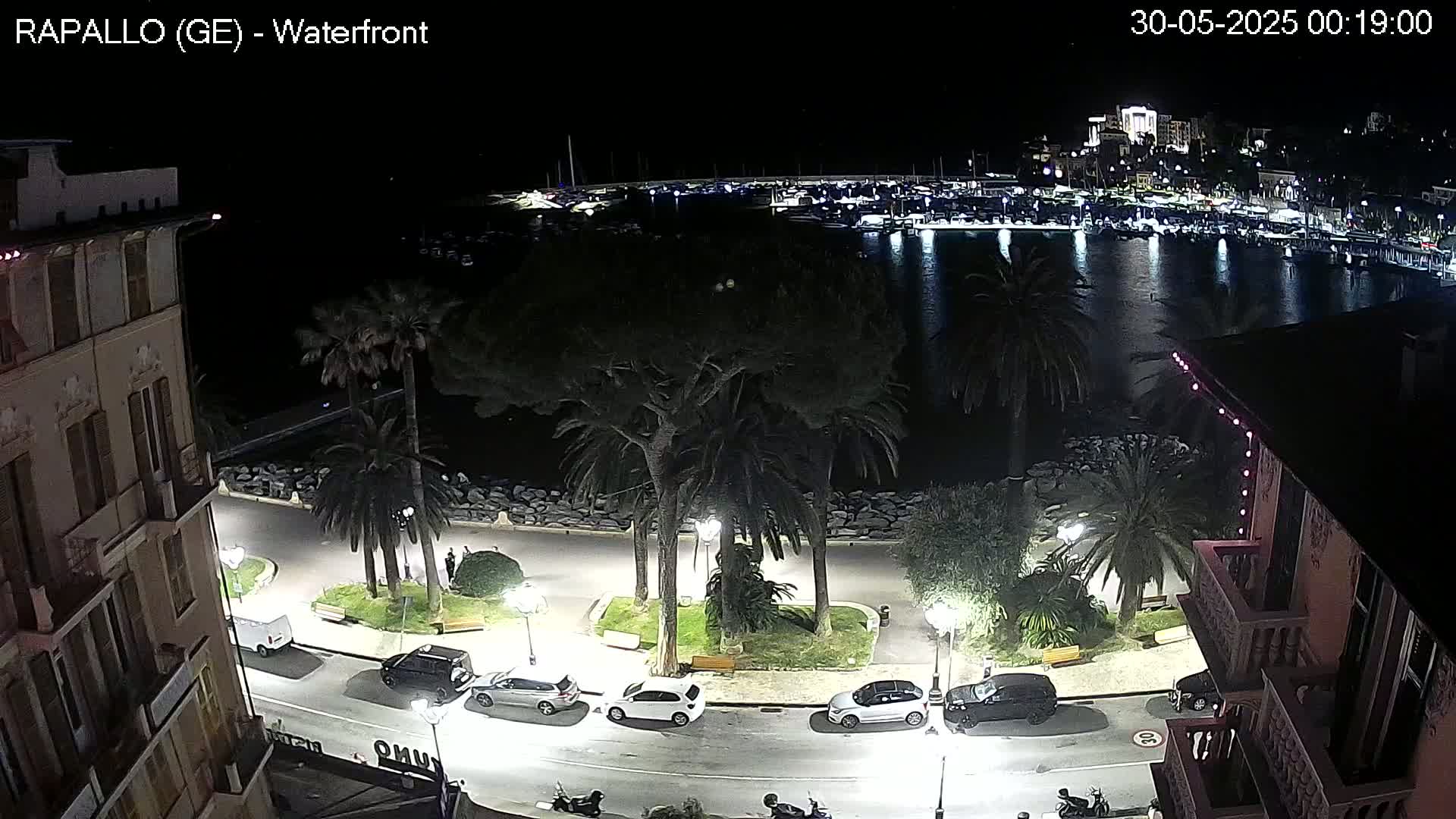 A nighttime view of a waterfront area with palm trees, parked cars lining a street next to a calm body of water filled with boats, and buildings illuminated on the opposite shore.
