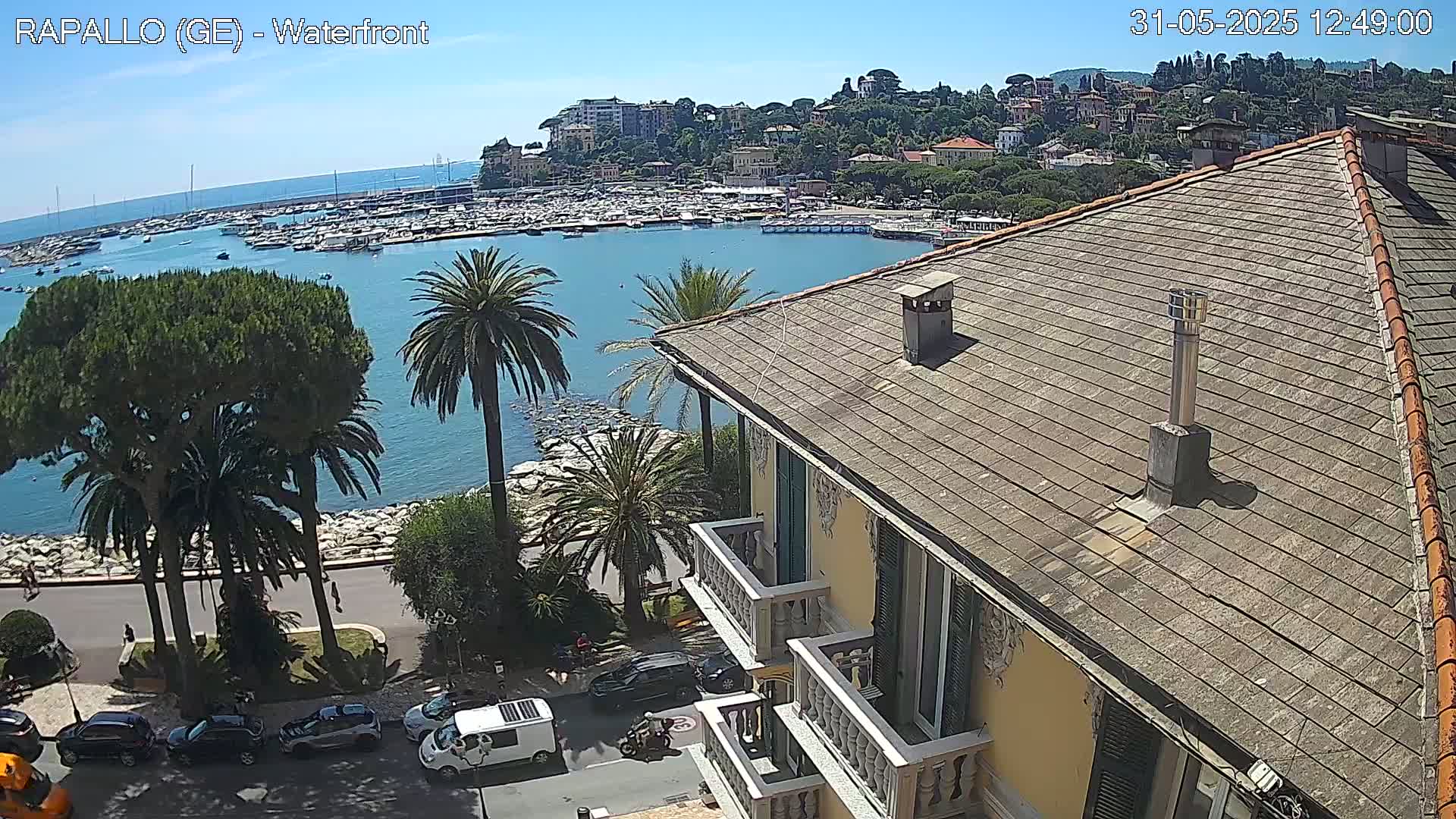 A seaside town with a harbor full of boats is seen from a rooftop on a sunny day.