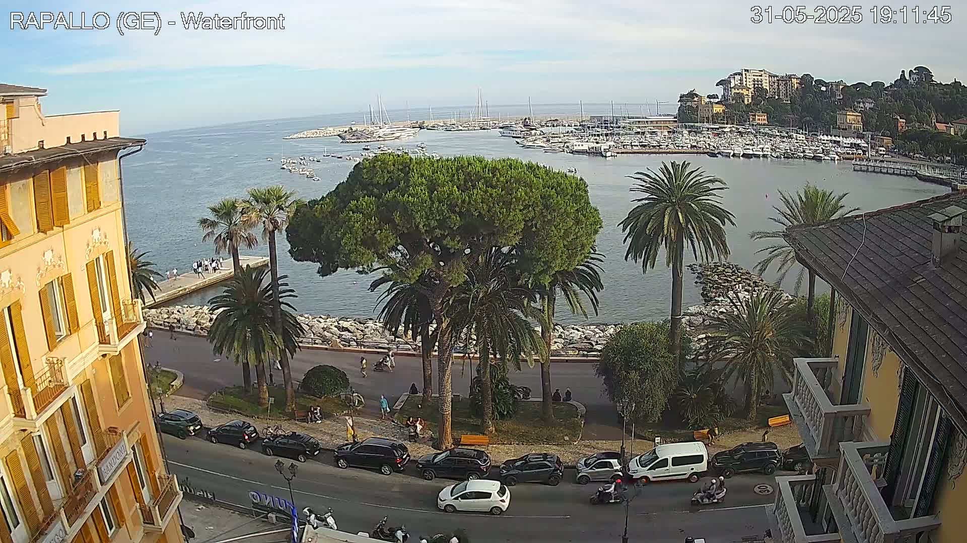 A waterfront view on a partly sunny day shows a harbor filled with boats, a roadway lined with palm trees and cars, and buildings along the coast.