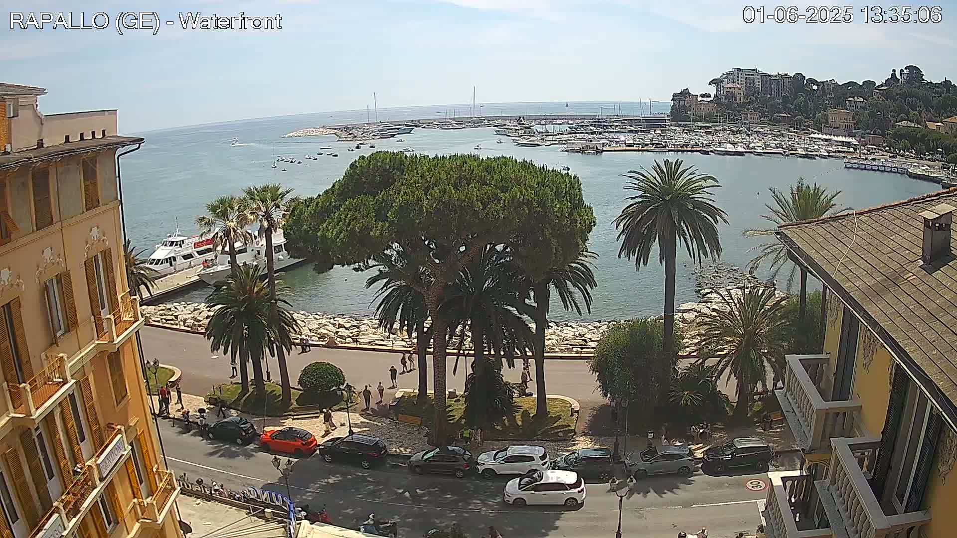 A waterfront view shows a harbor filled with boats, palm trees lining a seaside promenade with cars parked along the road, and buildings on either side under a clear sky.