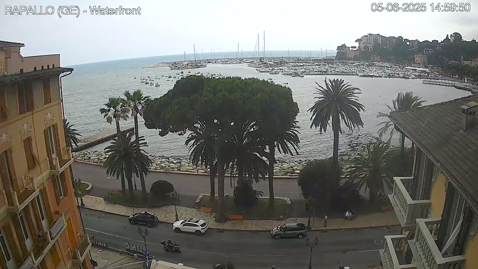 An overcast day reveals a waterfront view of a harbor filled with boats, palm trees lining a road next to a building, and cars driving along the street.