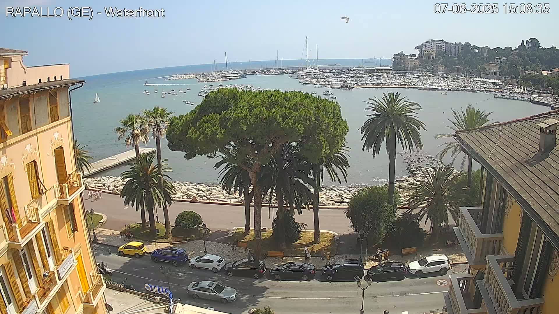 A sunny day overlooking a harbor filled with boats, a waterfront lined with palm trees and buildings, and cars parked along a road.