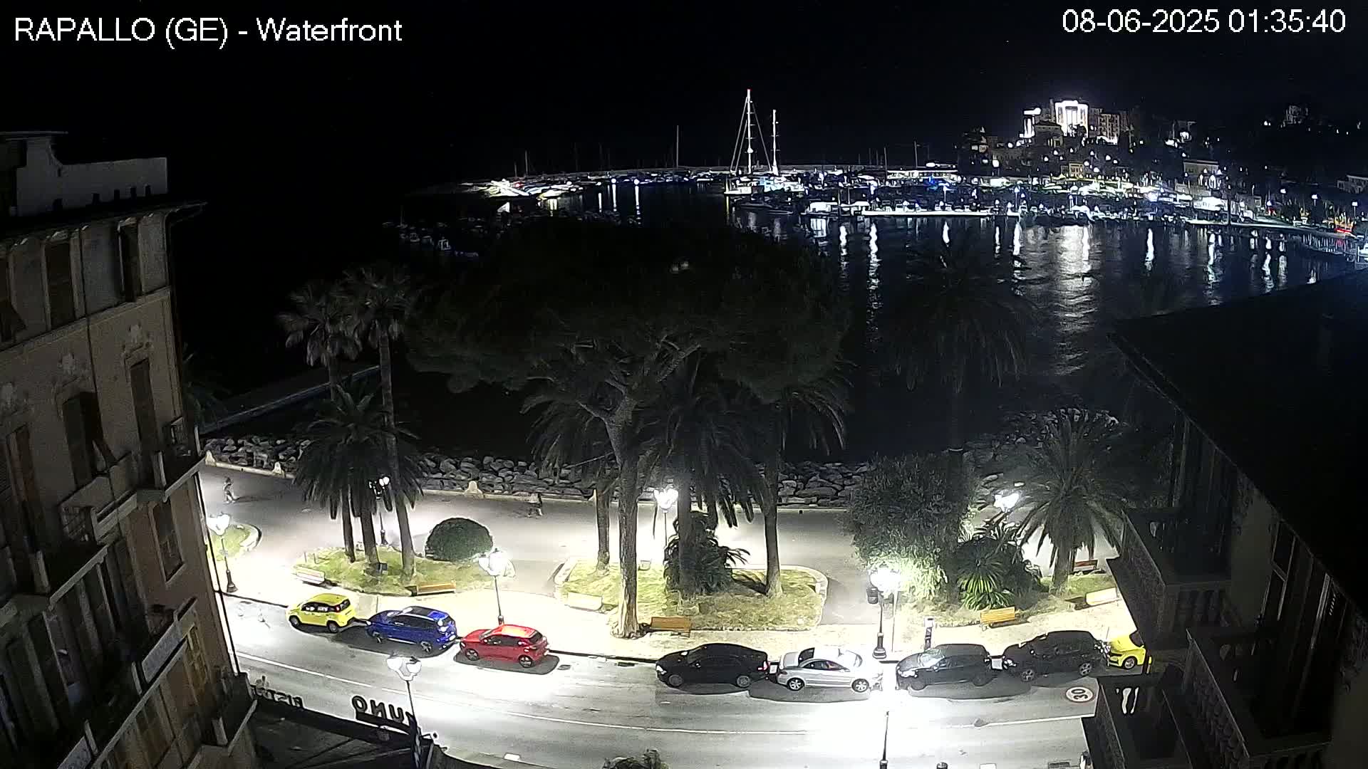 A nighttime waterfront scene shows a calm body of water reflecting lights from boats in a harbor, with a palm-tree-lined promenade and several parked cars visible along a roadway below.