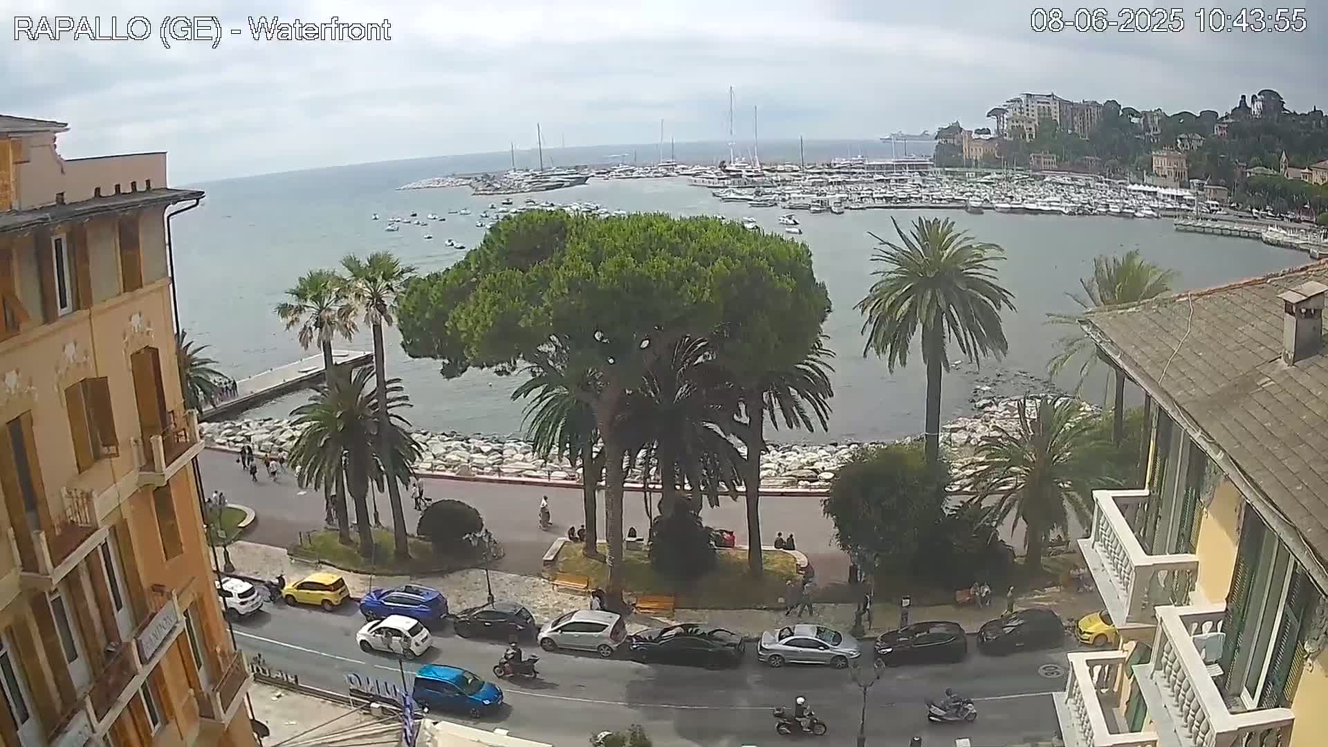 A waterfront view on a partly cloudy day shows a harbor filled with boats, a paved walkway lined with palm trees and buildings, and cars parked along the road.