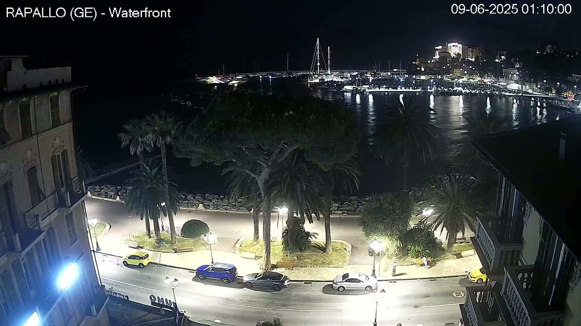 A nighttime view of a waterfront city, showing palm trees lining a paved walkway next to a calm body of water with boats moored in a harbor, and cars parked along the road.