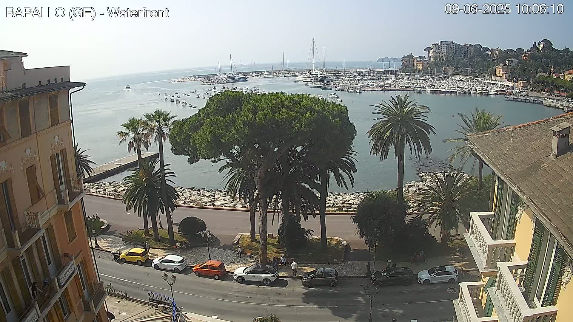 A waterfront view on a sunny day shows a harbor full of boats, a road lined with palm trees and buildings, and several cars parked along the roadside.