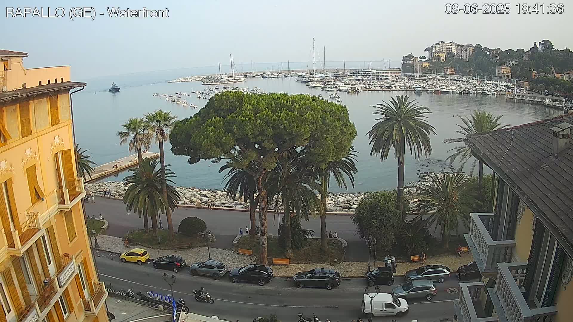 A waterfront view shows a calm harbor filled with boats, a roadway lined with palm trees and parked cars, and buildings on either side of the road under a hazy sky.
