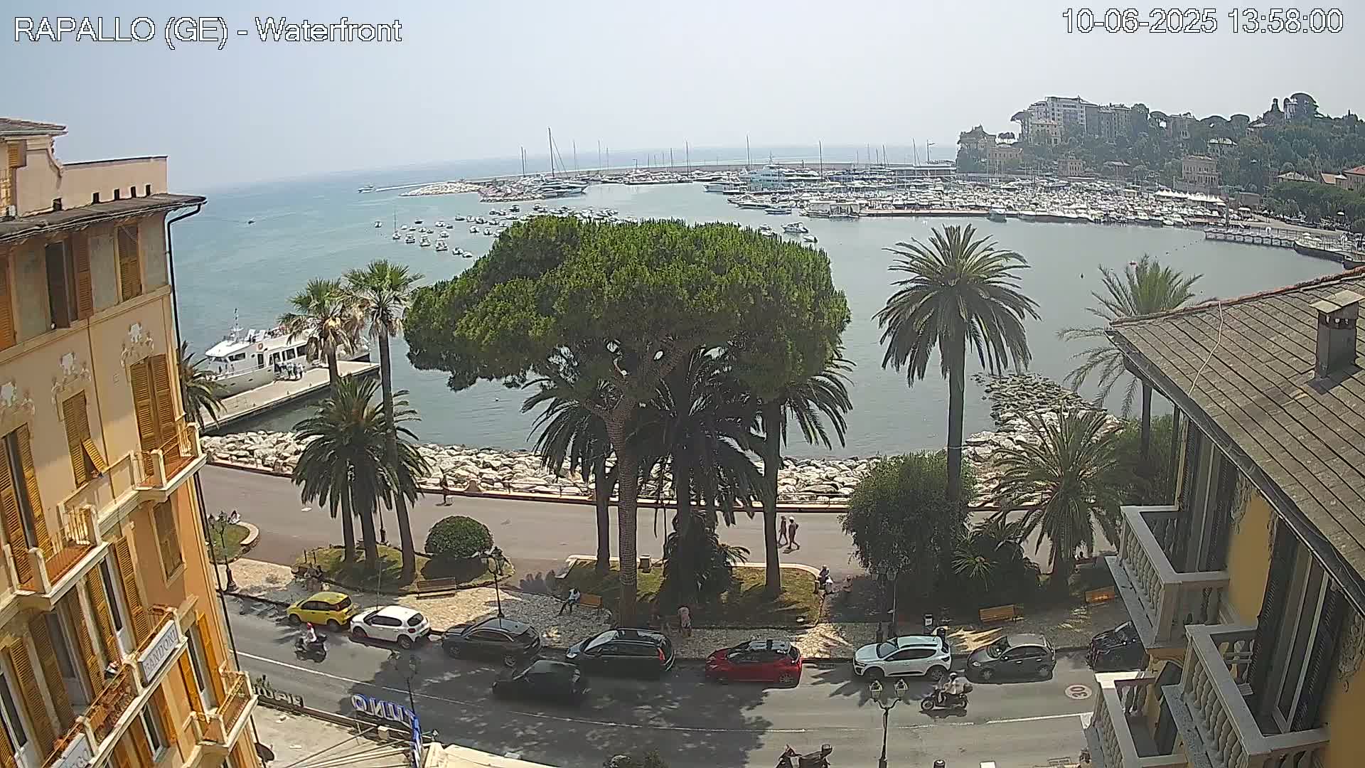 A waterfront scene on a sunny day shows a harbor filled with boats, palm trees lining a paved walkway, and buildings along the shore.