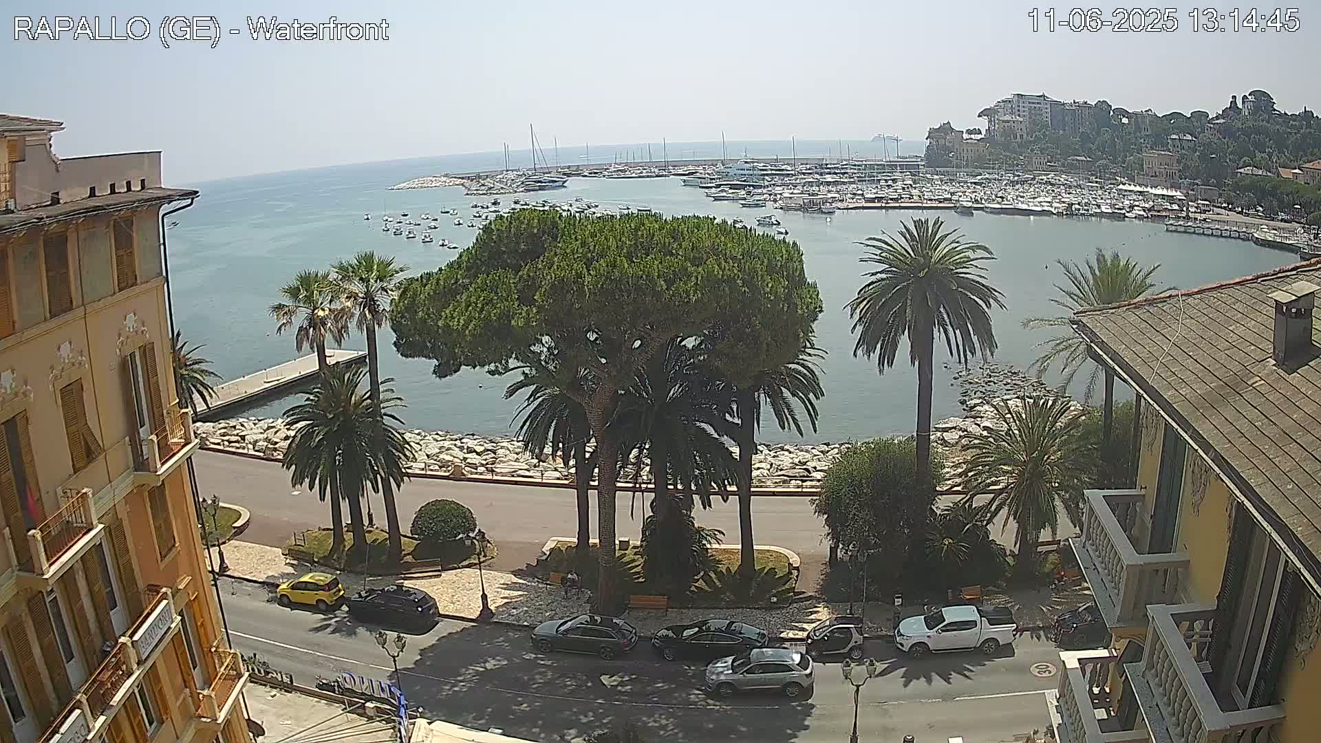 A waterfront view on a sunny day shows a harbor filled with boats, palm trees lining a seaside road, and buildings on either side.