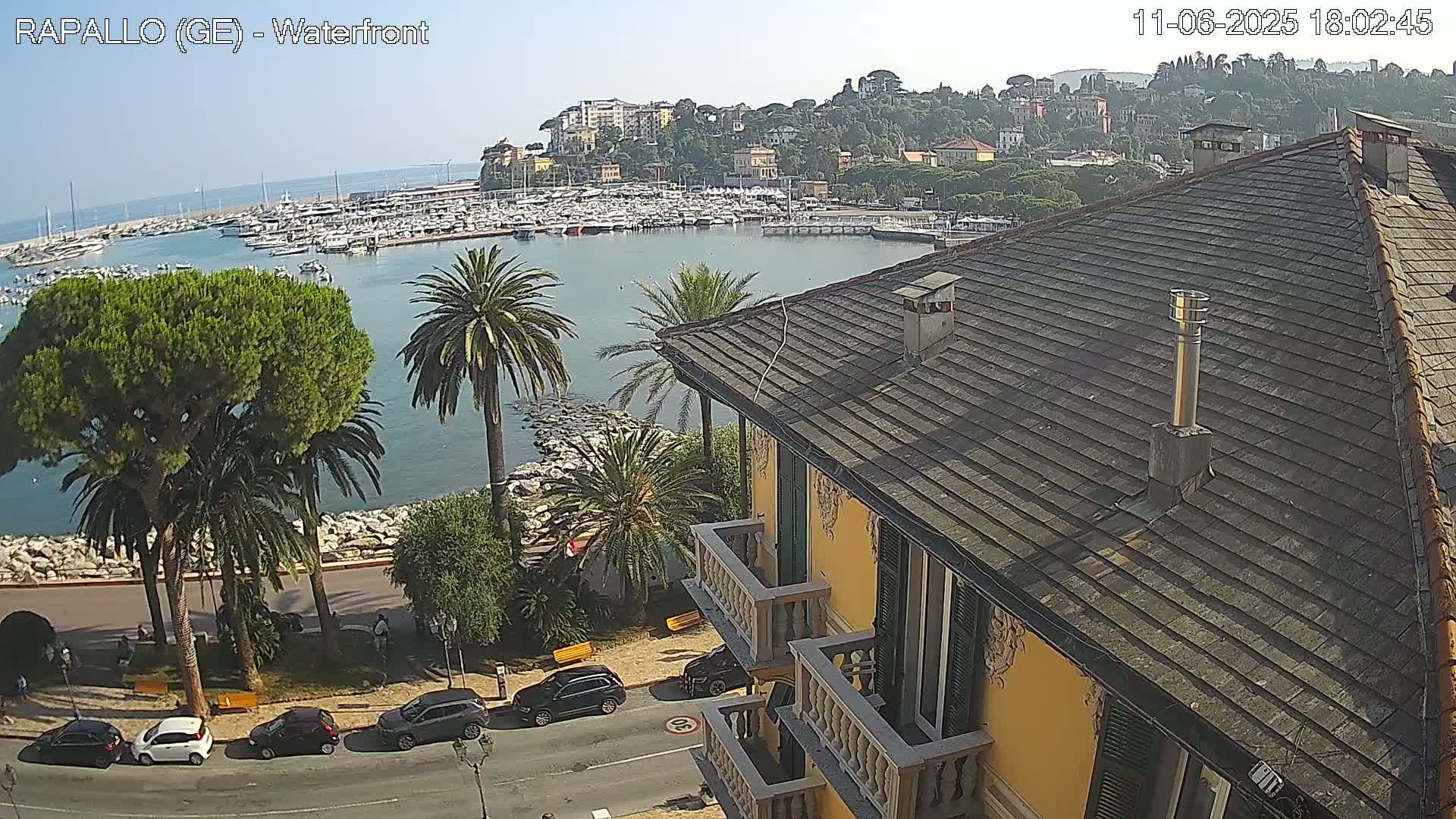 A waterfront view of a harbor filled with boats, a town nestled on a hillside, and palm trees lining a roadway next to a building with a sloping roof.