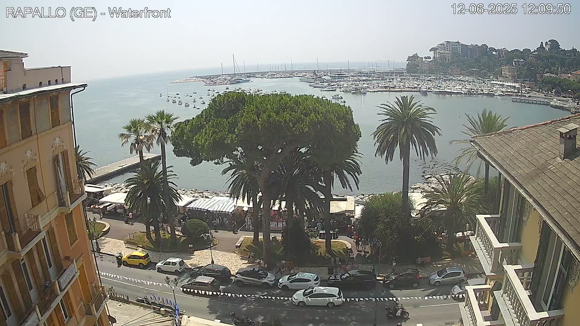 An elevated view of a waterfront town on a sunny day, showing a harbor filled with boats, palm trees, buildings, and cars parked along a roadway.