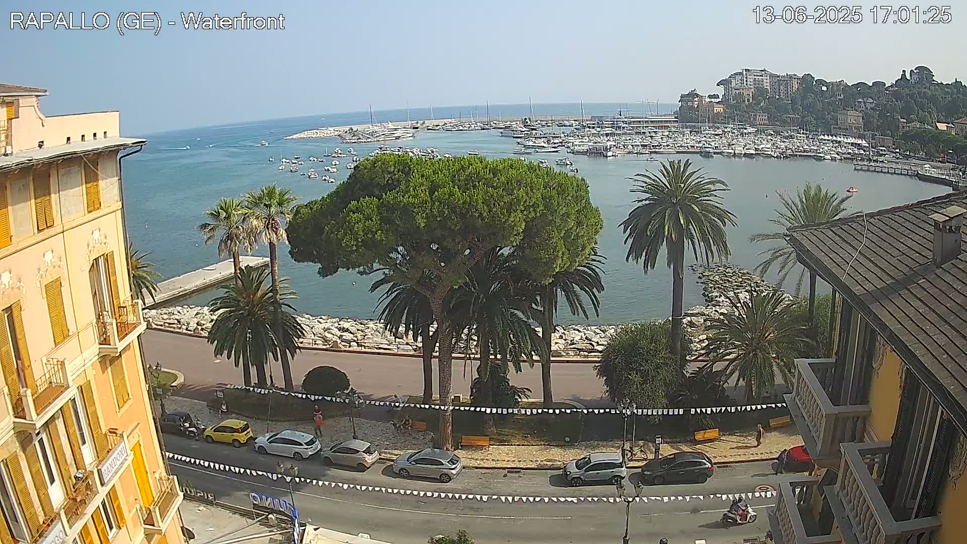 A waterfront view on a sunny day shows a calm harbor filled with boats, a shoreline lined with palm trees and a building, and cars parked along a road.