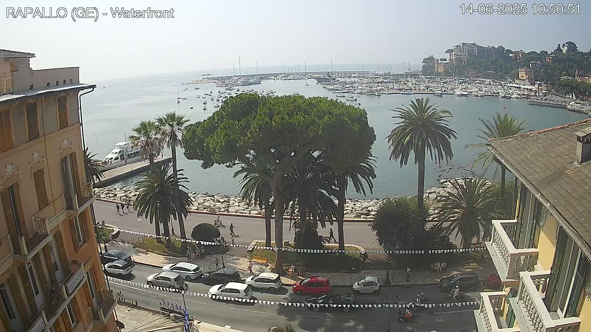 A waterfront view on a sunny day shows a harbor filled with boats, palm trees lining a paved walkway, and buildings along the coast.