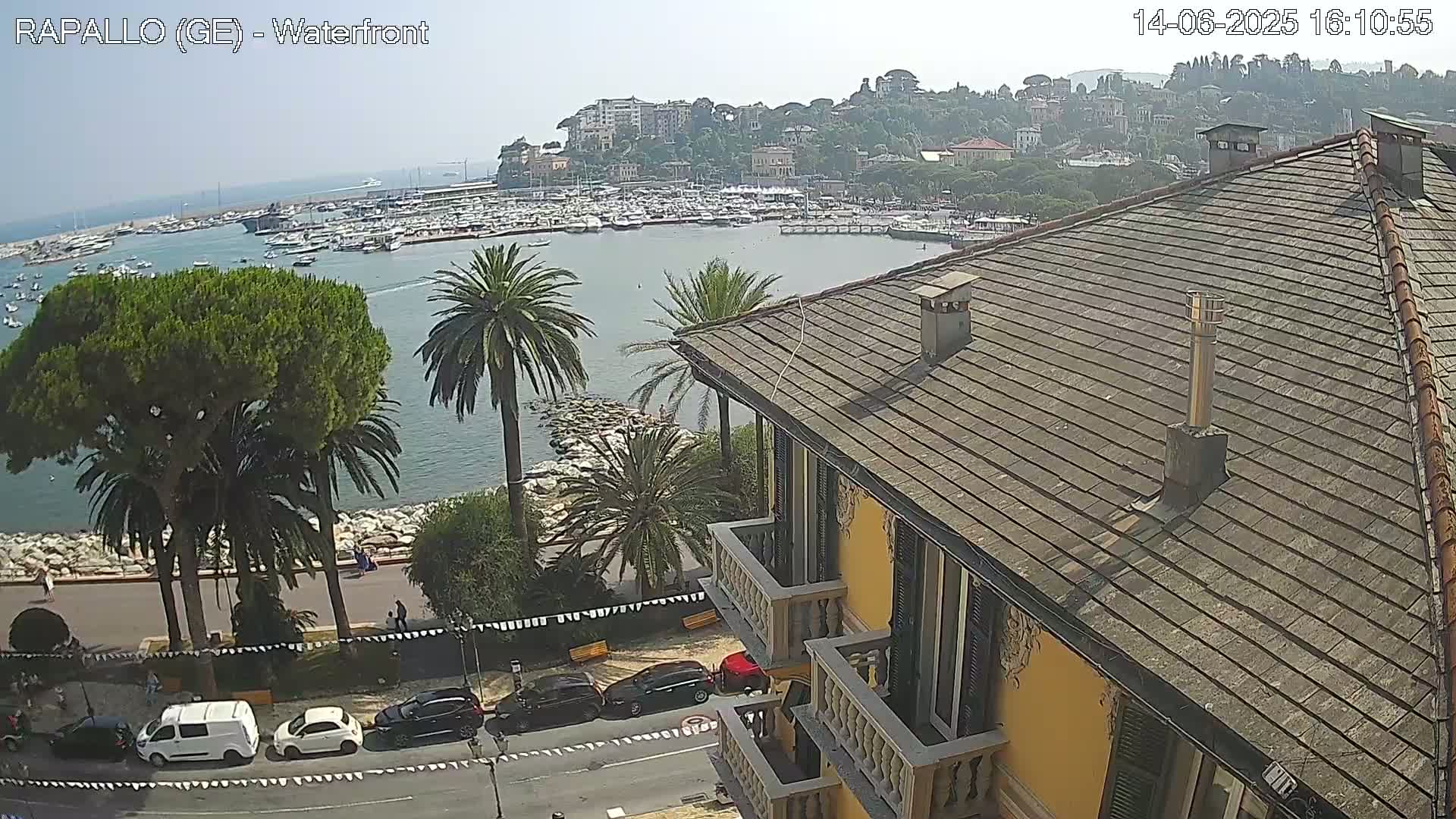 A view from a building's rooftop shows a harbor filled with boats, a town on a hillside, palm trees, and a street with cars below, all under a sunny sky.