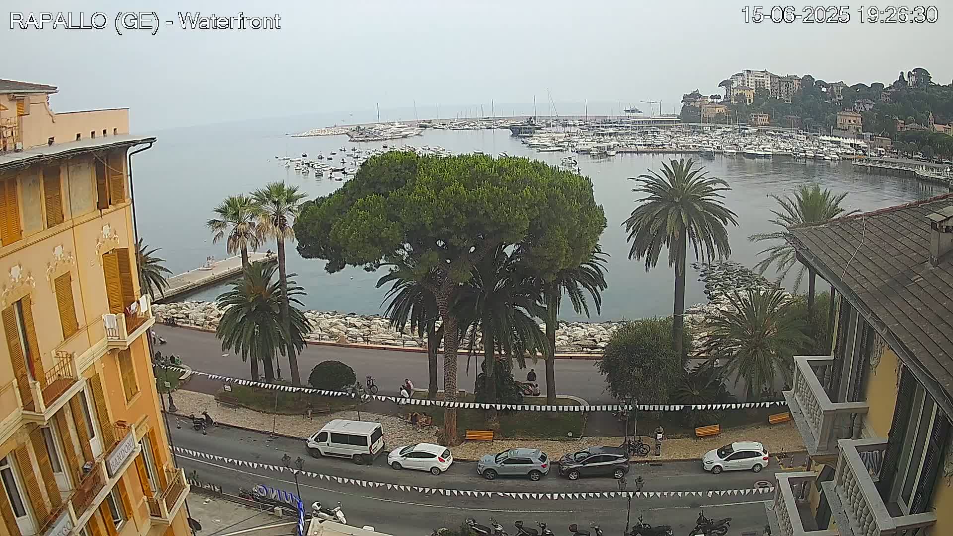 A waterfront scene shows a calm harbor filled with boats, lined by a stone walkway and palm trees, with overcast skies and buildings on either side of the road.