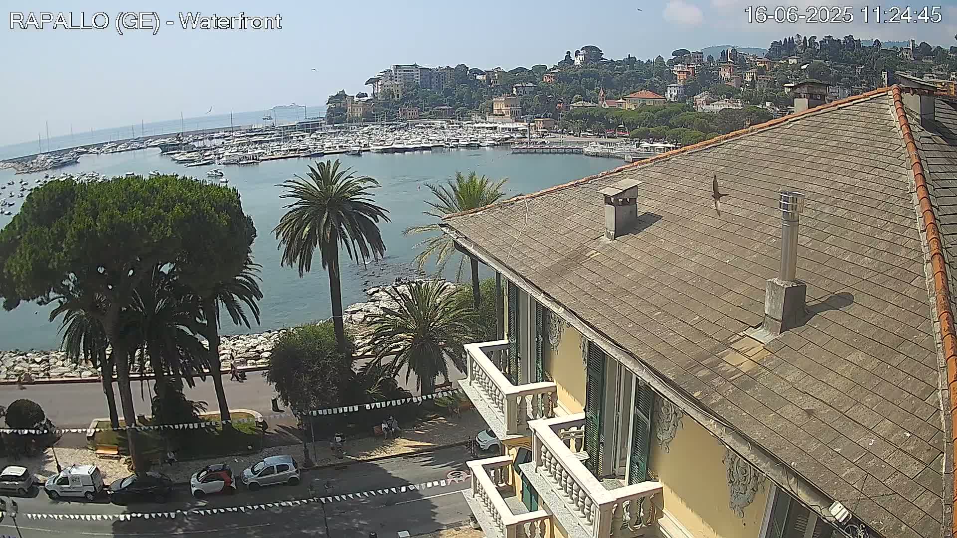 A waterfront view on a sunny day shows a harbor filled with boats, a town nestled on a hillside, and a building's rooftop with balconies overlooking the scene.