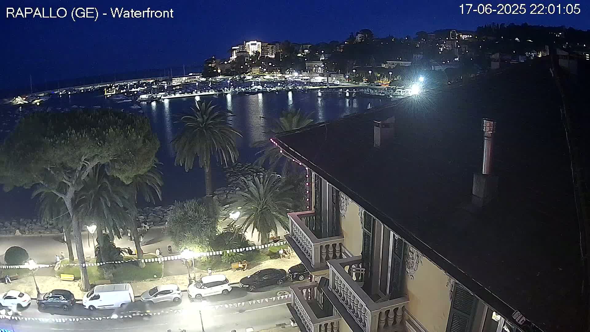 A nighttime view of a harbor filled with boats, a town lit up on a hill, and palm trees along a waterfront promenade, under a clear, dark sky.