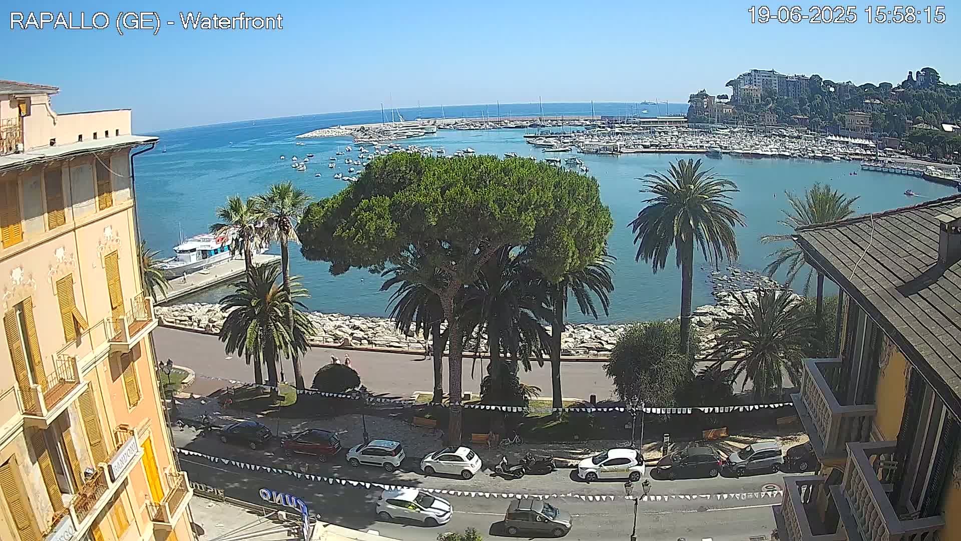 A waterfront scene on a sunny day shows a harbor filled with boats, palm trees lining a paved walkway, and cars parked along a road next to buildings.