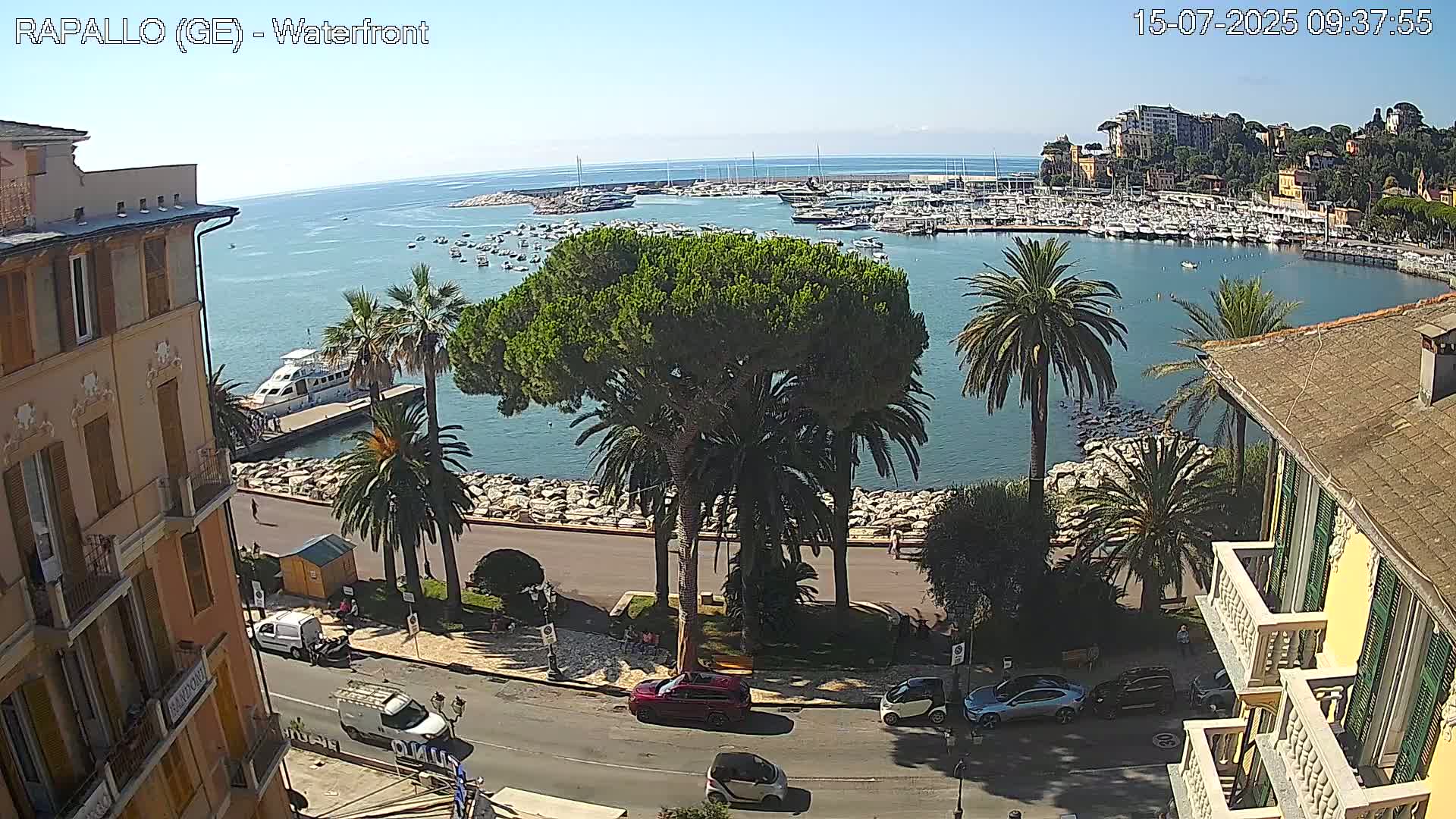 A waterfront view on a sunny day shows a harbor filled with boats, palm trees lining a paved walkway beside the water, and buildings with balconies overlooking the scene.