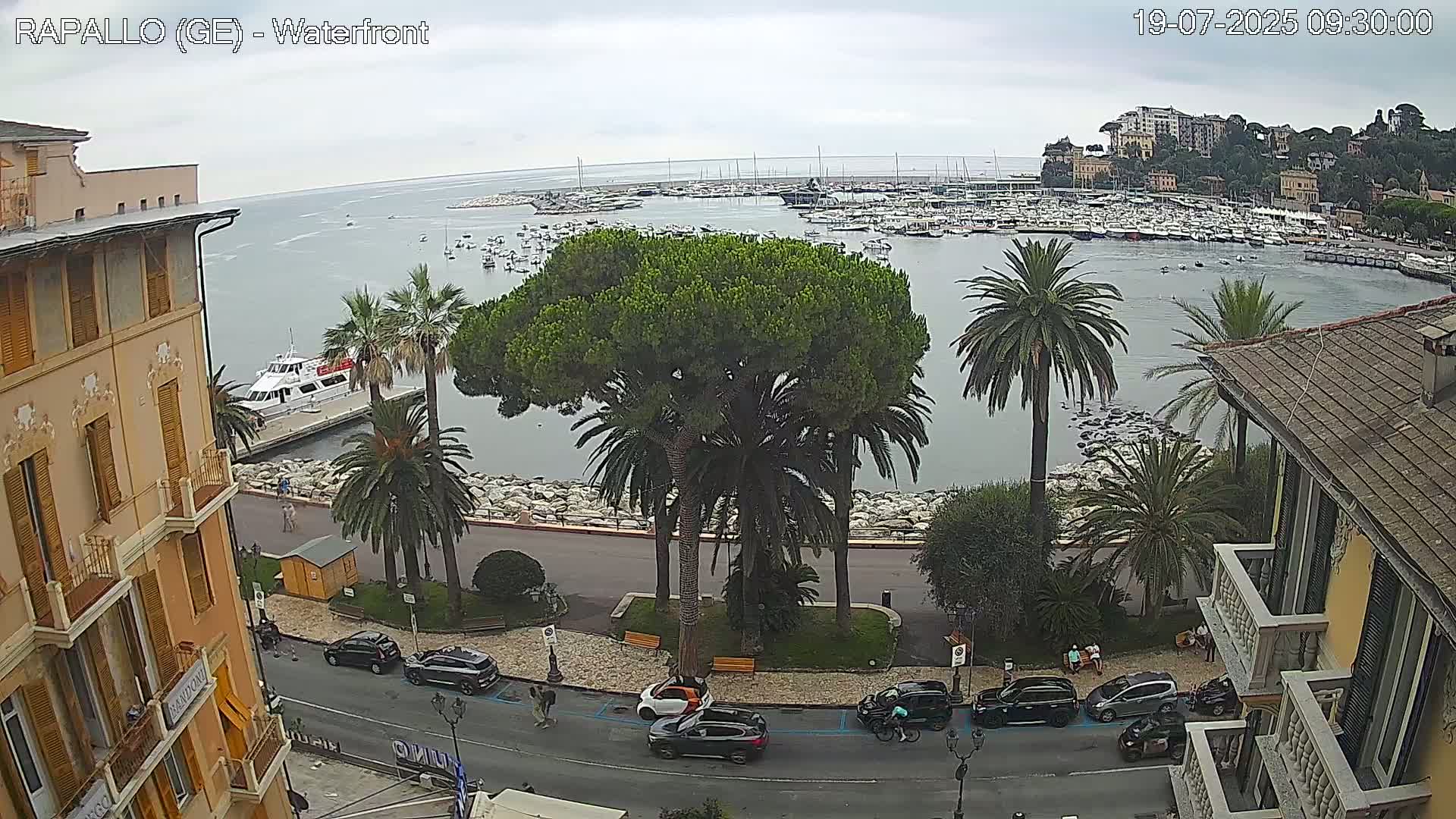 Overlooking a harbor filled with boats, a waterfront city scene shows palm trees and buildings under an overcast sky.
