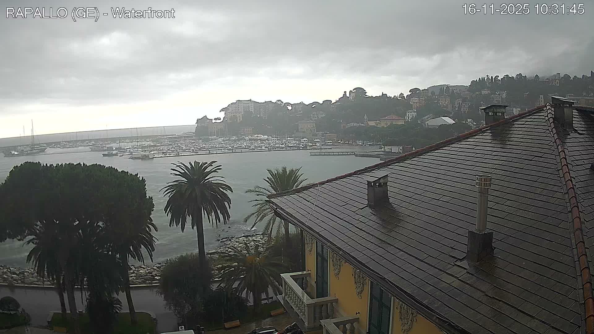 An overcast and rainy day reveals a bustling marina packed with boats, framed by foreground palm trees and a wet tiled rooftop, against the backdrop of a hillside town.