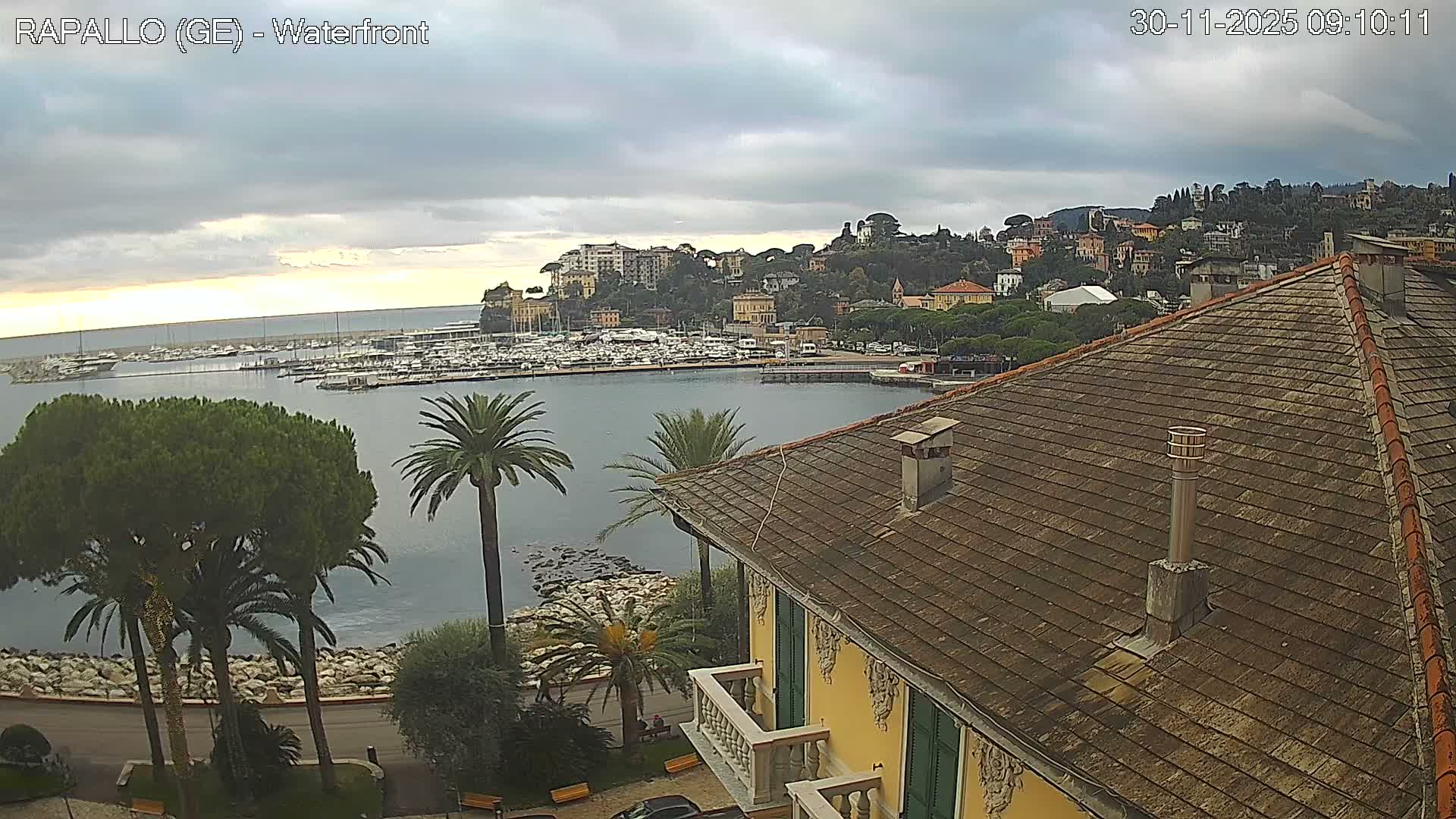 A cloudy morning view reveals a bustling boat-filled harbor surrounded by a hilly coastal town, with a tiled rooftop and palm trees dominating the foreground.