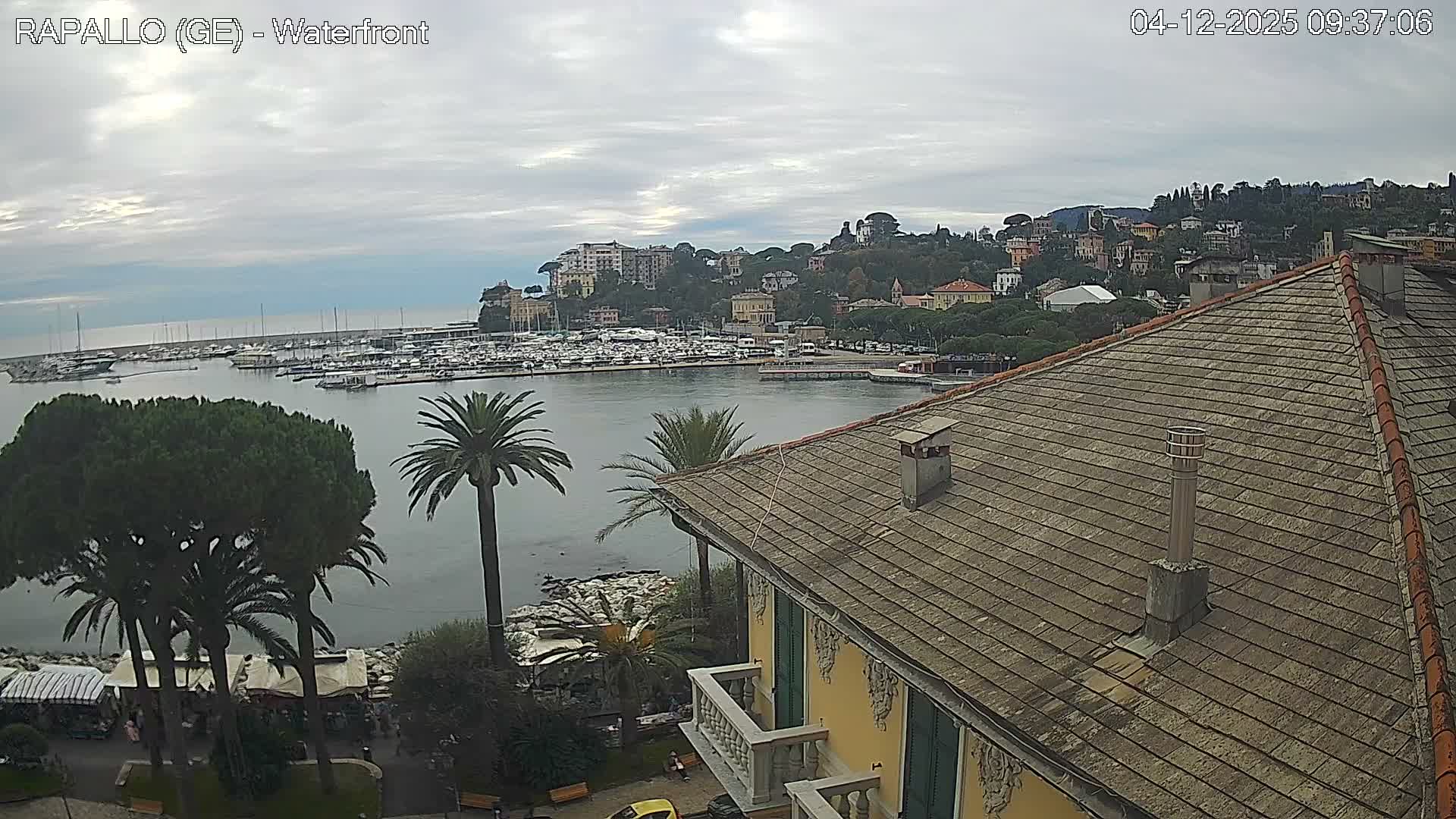 An overcast sky hangs over a tranquil coastal town harbor filled with boats, bordered by buildings climbing up green hills, and featuring prominent palm trees and a residential roof in the foreground.