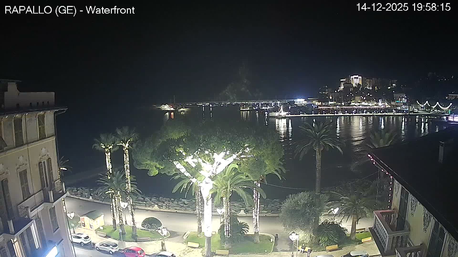 An overcast sky hangs over a tranquil coastal town harbor filled with boats, bordered by buildings climbing up green hills, and featuring prominent palm trees and a residential roof in the foreground.