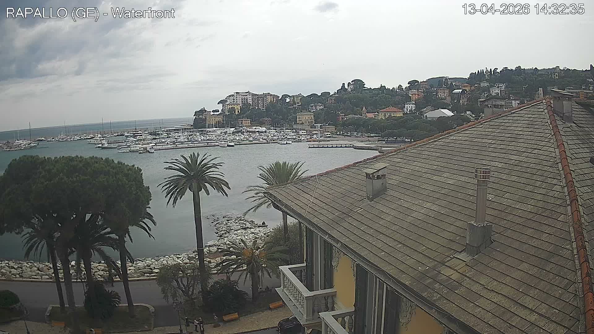 An overcast sky hangs over a tranquil coastal town harbor filled with boats, bordered by buildings climbing up green hills, and featuring prominent palm trees and a residential roof in the foreground.