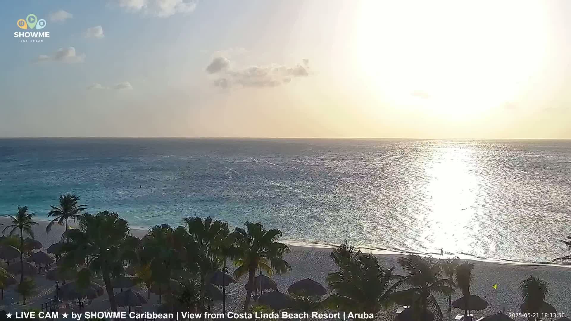 A tranquil beach scene shows palm trees lining a sandy shore next to a calm, sunlit ocean under a partly cloudy sky.