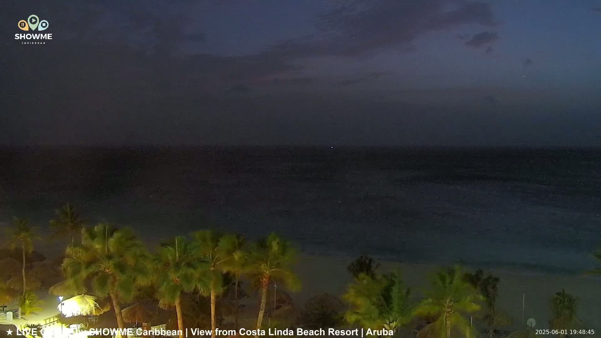 A dark, nighttime beach scene shows a calm ocean under a mostly cloudy sky, with palm trees in the foreground.