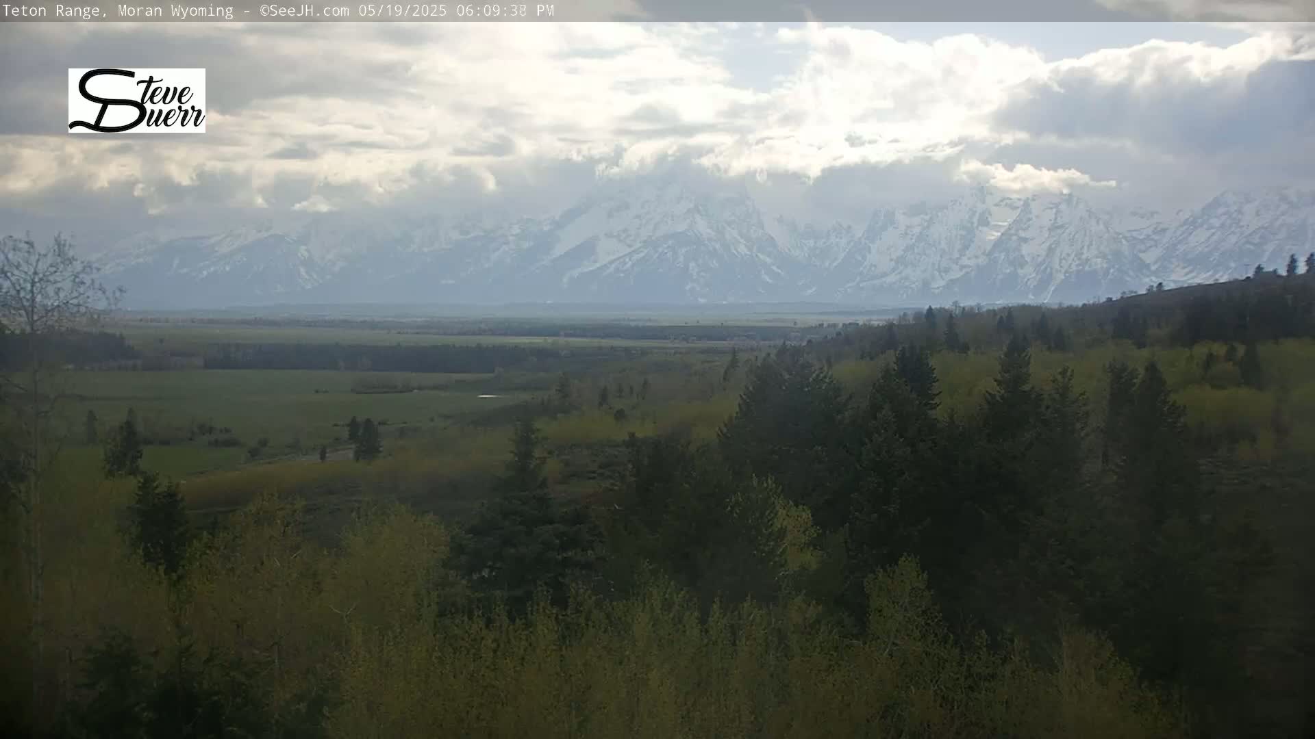 A partly cloudy day reveals a snow-capped mountain range in the distance, with a foreground of evergreen and deciduous trees and a wide expanse of grassland.