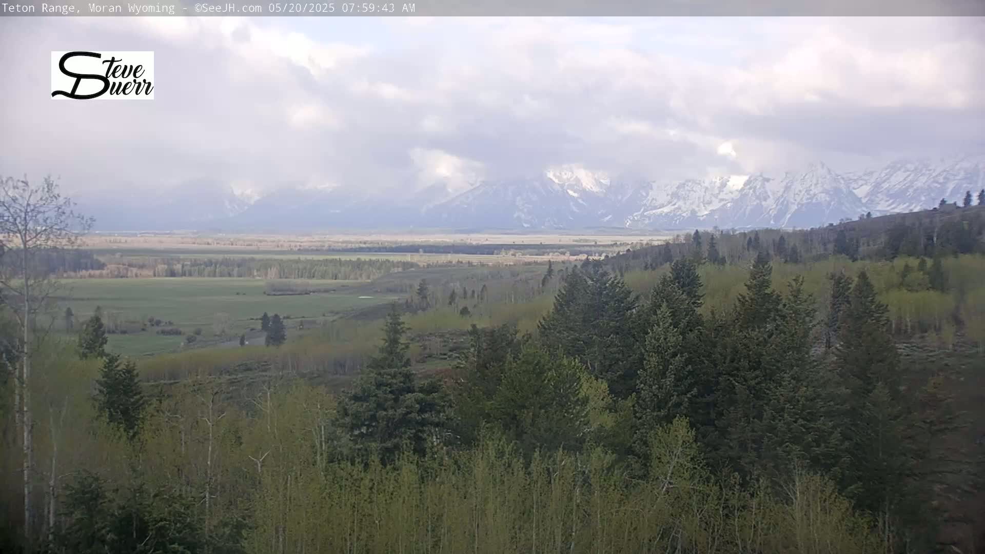 A view from a hillside shows a valley with snow-capped mountains in the distance under a cloudy sky.