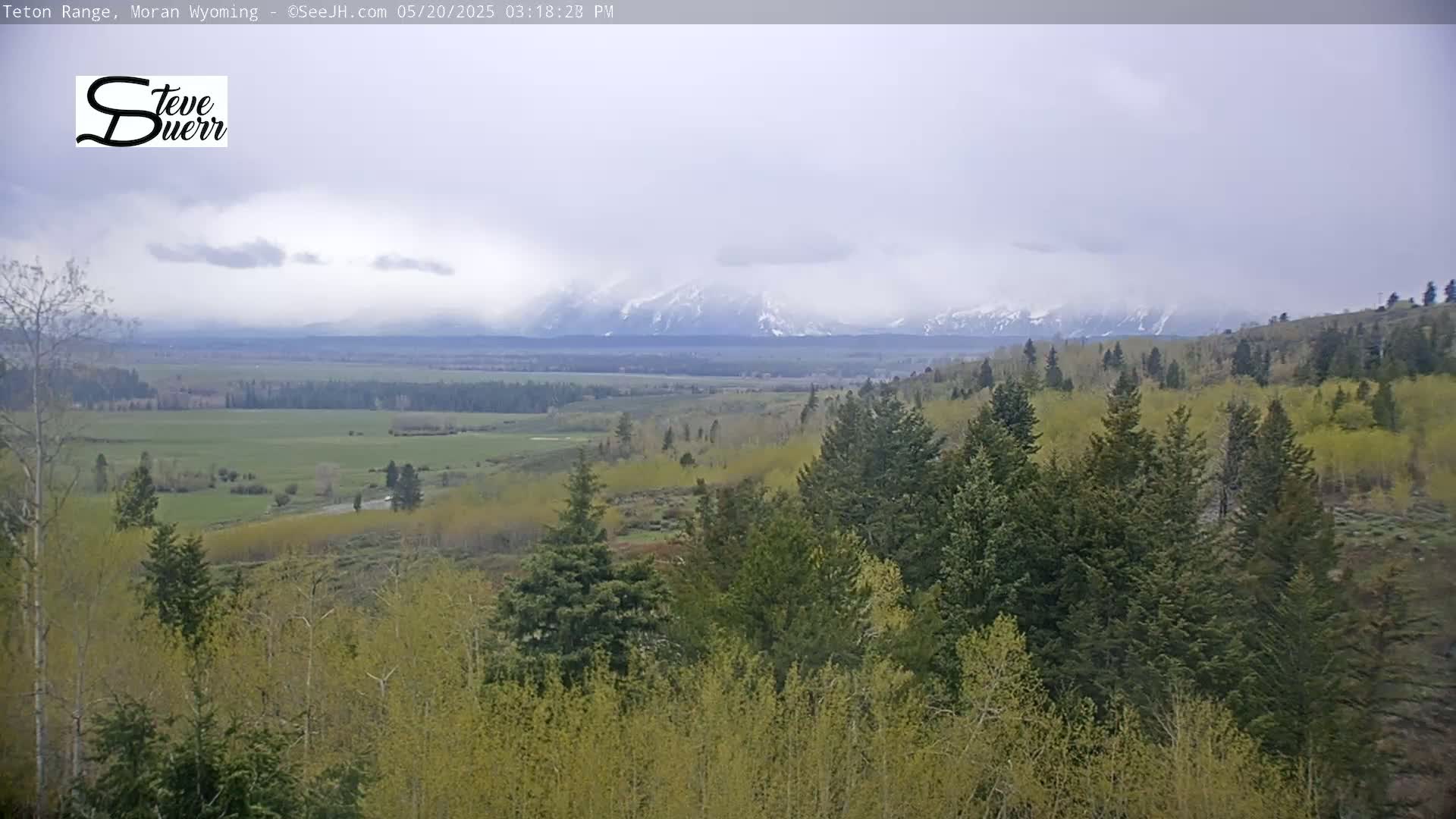Buffalo Valley & Teton Mountain Range Live Cam - Moran, Teton County, Wyoming, USA