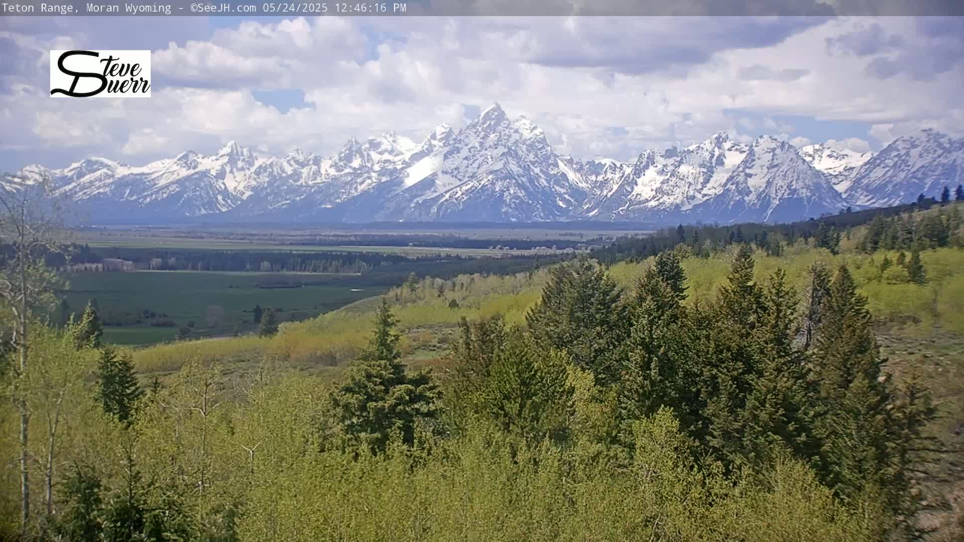 A partly cloudy day reveals a snow-capped mountain range in the distance, with a foreground of evergreens and light green deciduous trees.