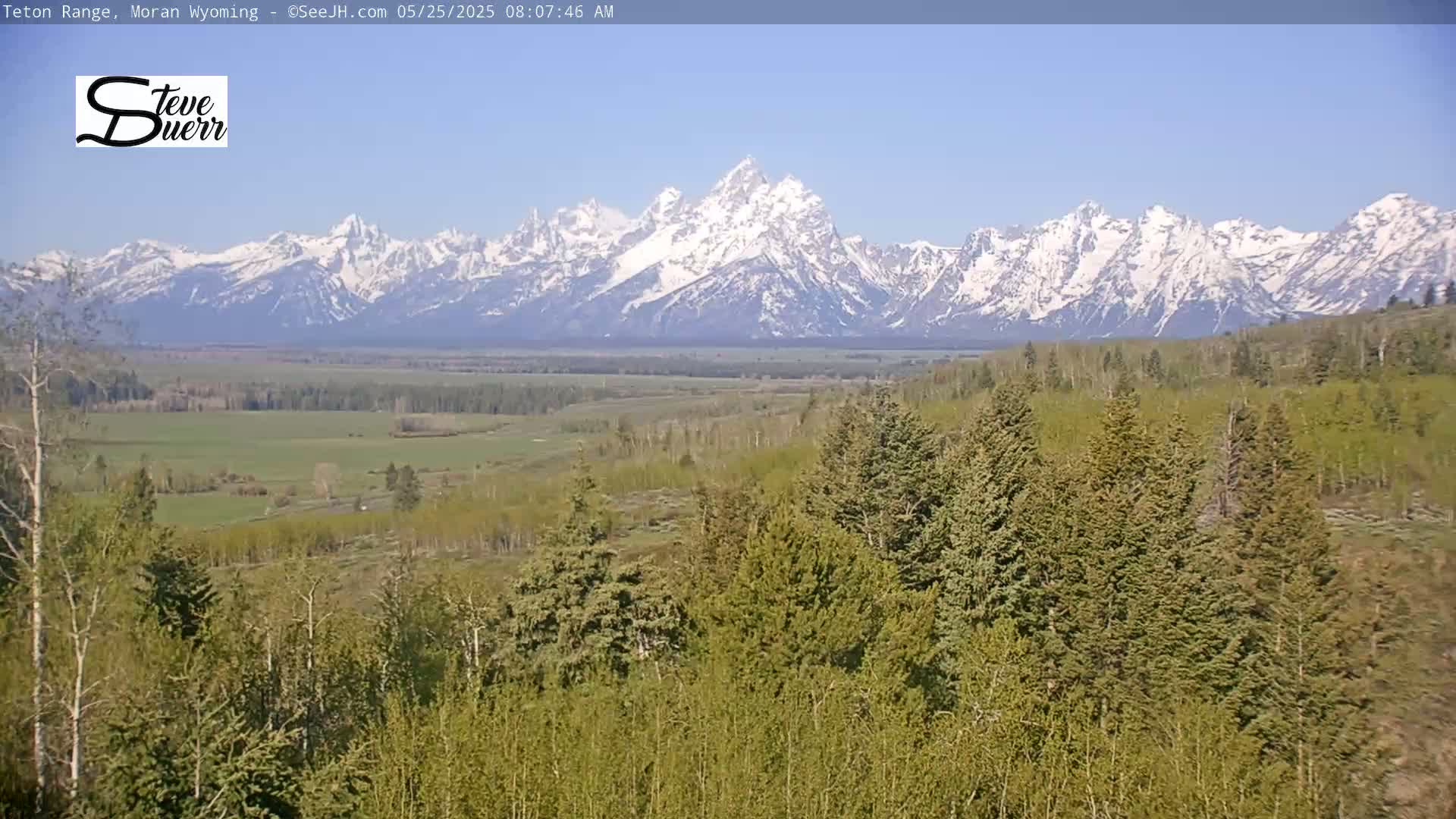 A snow-capped mountain range is visible in the distance beyond a valley of green trees and fields under a clear blue sky.