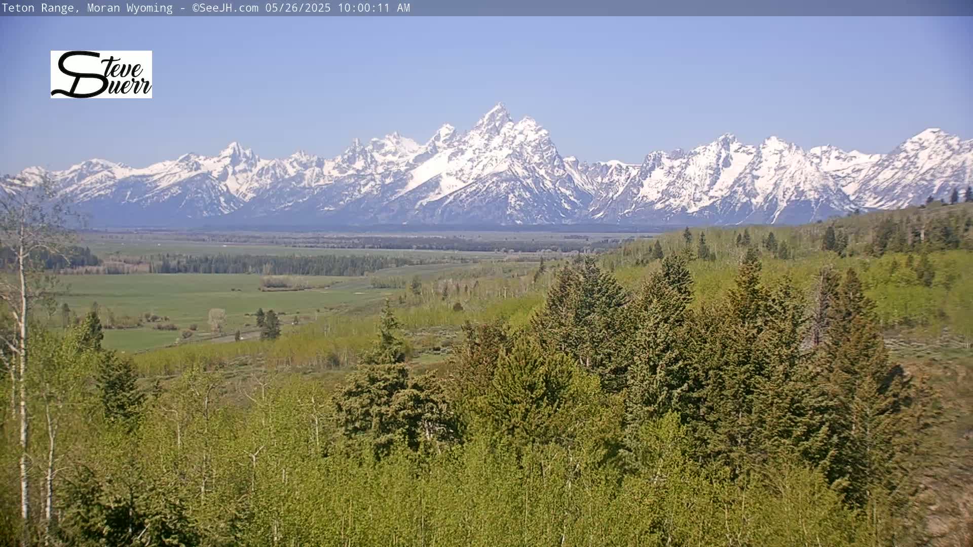 A snow-capped mountain range is visible in the distance behind a foreground of green trees and a flat valley under a clear blue sky.