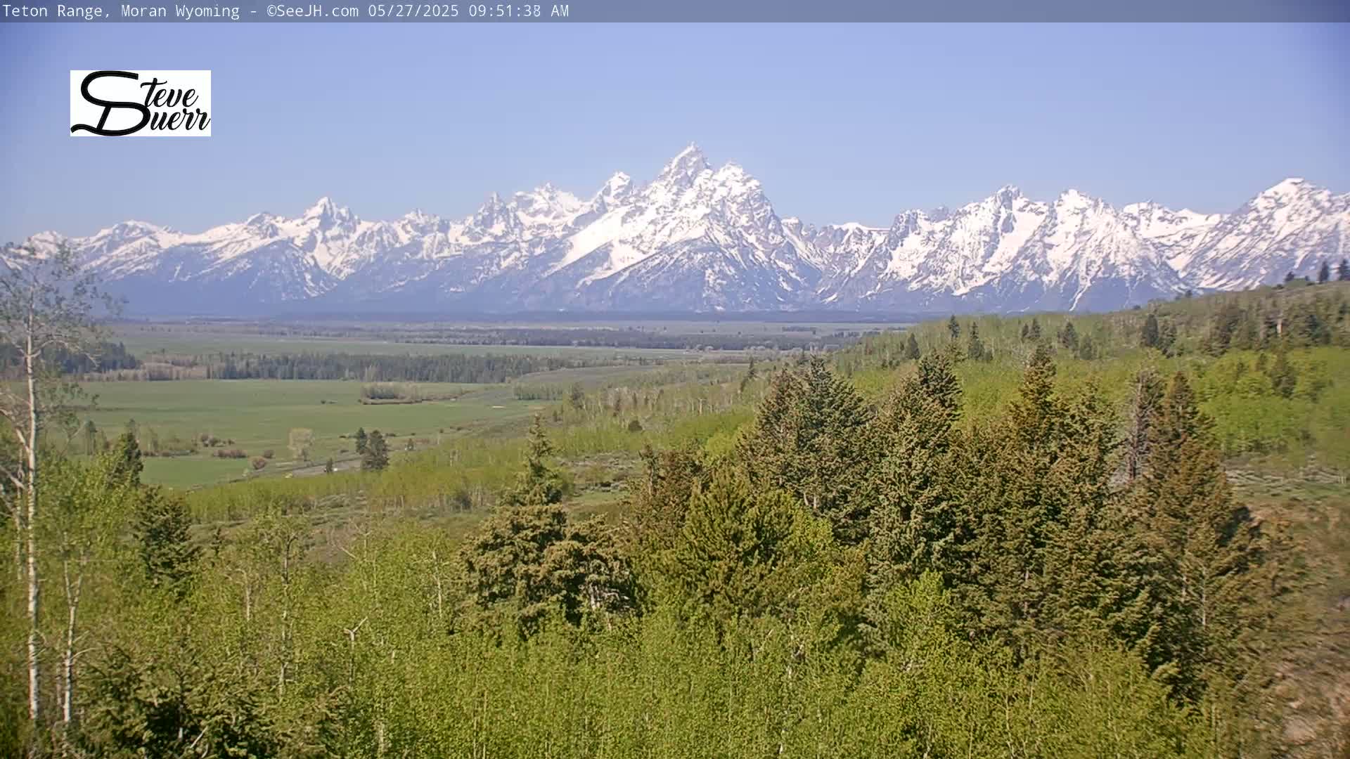 A snow-capped mountain range is visible in the distance under a clear blue sky, beyond a valley of green trees and fields.