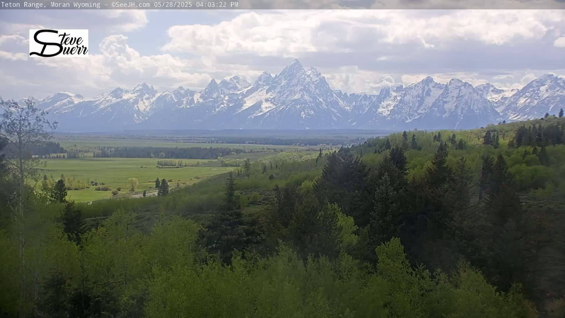 A snow-capped mountain range is visible in the distance, beyond a verdant valley and a foreground of lush green trees under a partly cloudy sky.