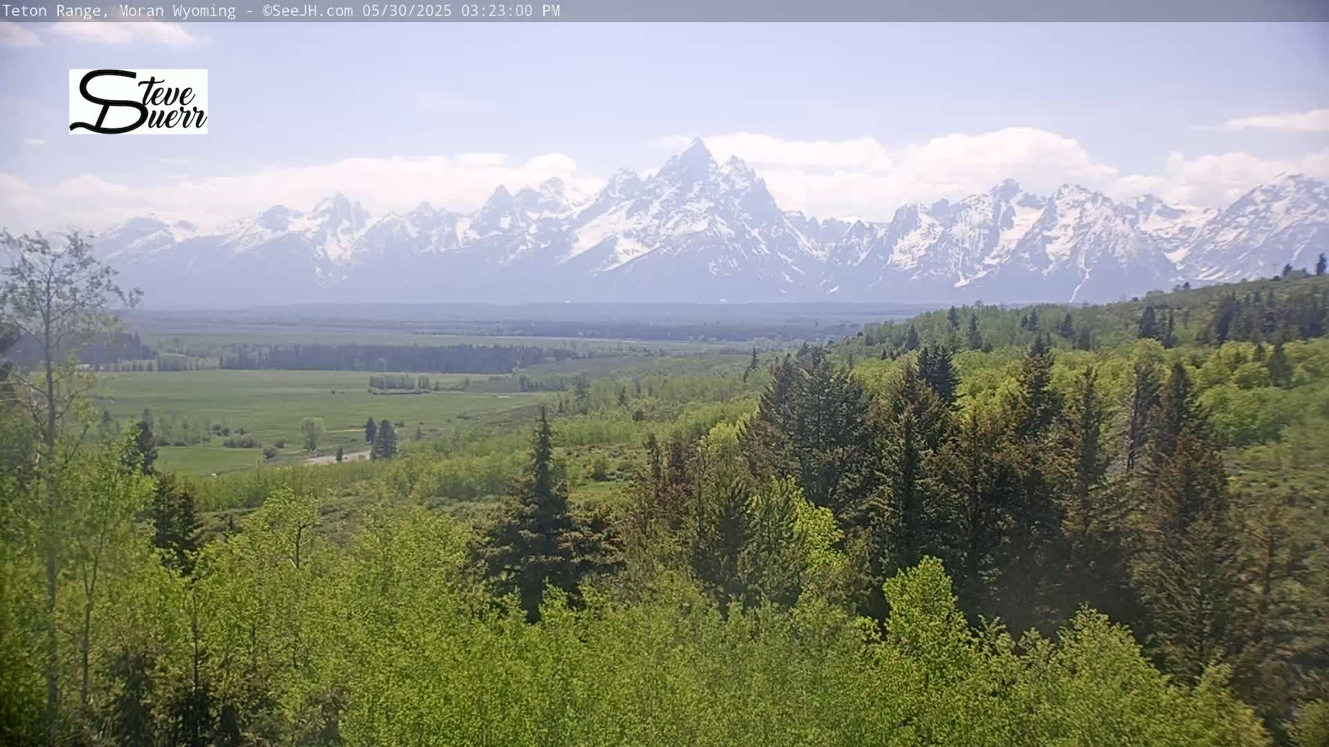 A view of a snow-capped mountain range in the distance, with a foreground of lush green trees and a valley in between, under a partly cloudy sky.