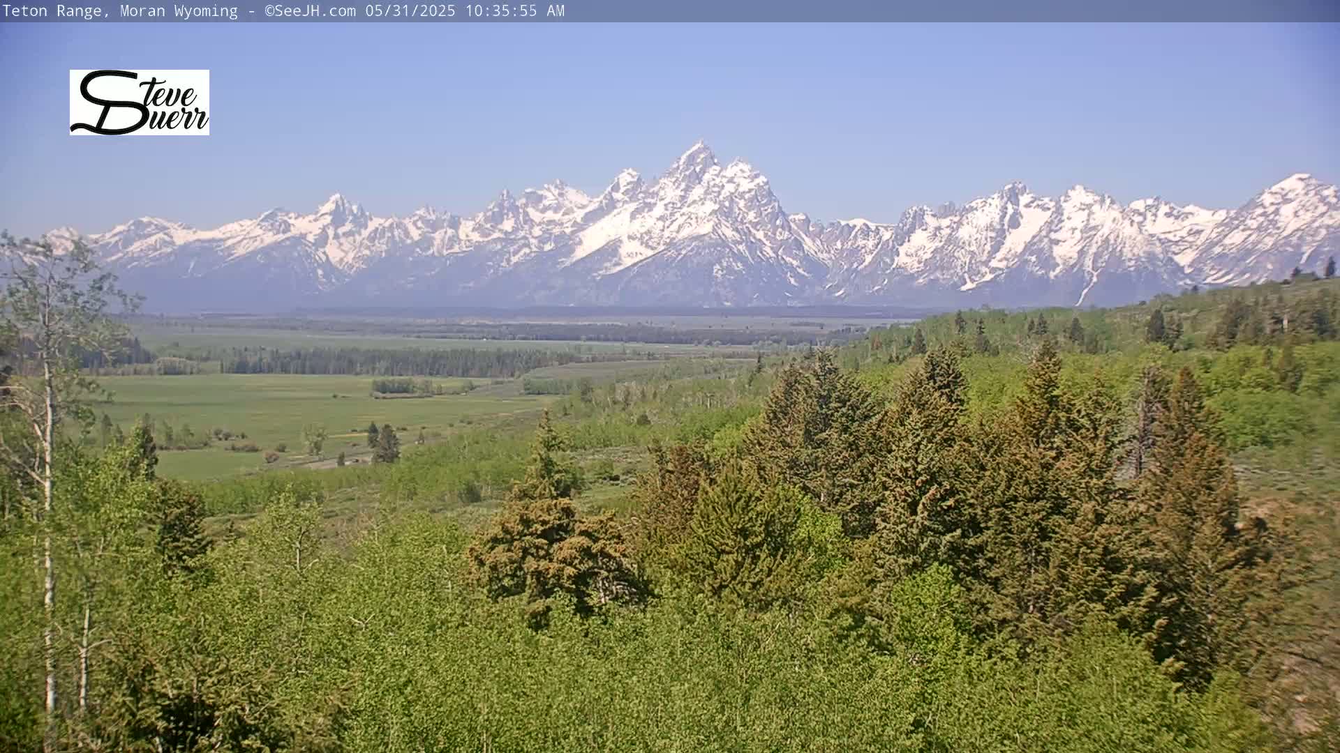 A snow-capped mountain range is visible in the distance, beyond a valley of green fields and a foreground of lush, green trees under a clear blue sky.