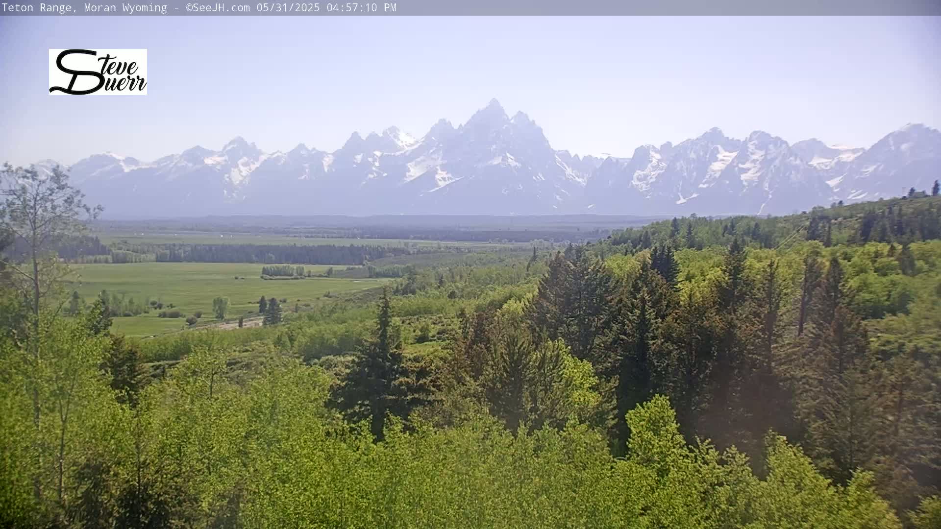 A view from a forested hillside shows a valley and a distant, snow-capped mountain range under a clear sky.