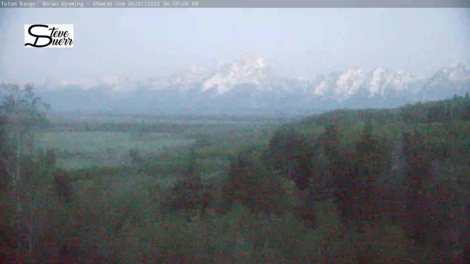 A hazy, early morning view shows a vast expanse of muted green vegetation leading to a snow-capped mountain range in the distance.