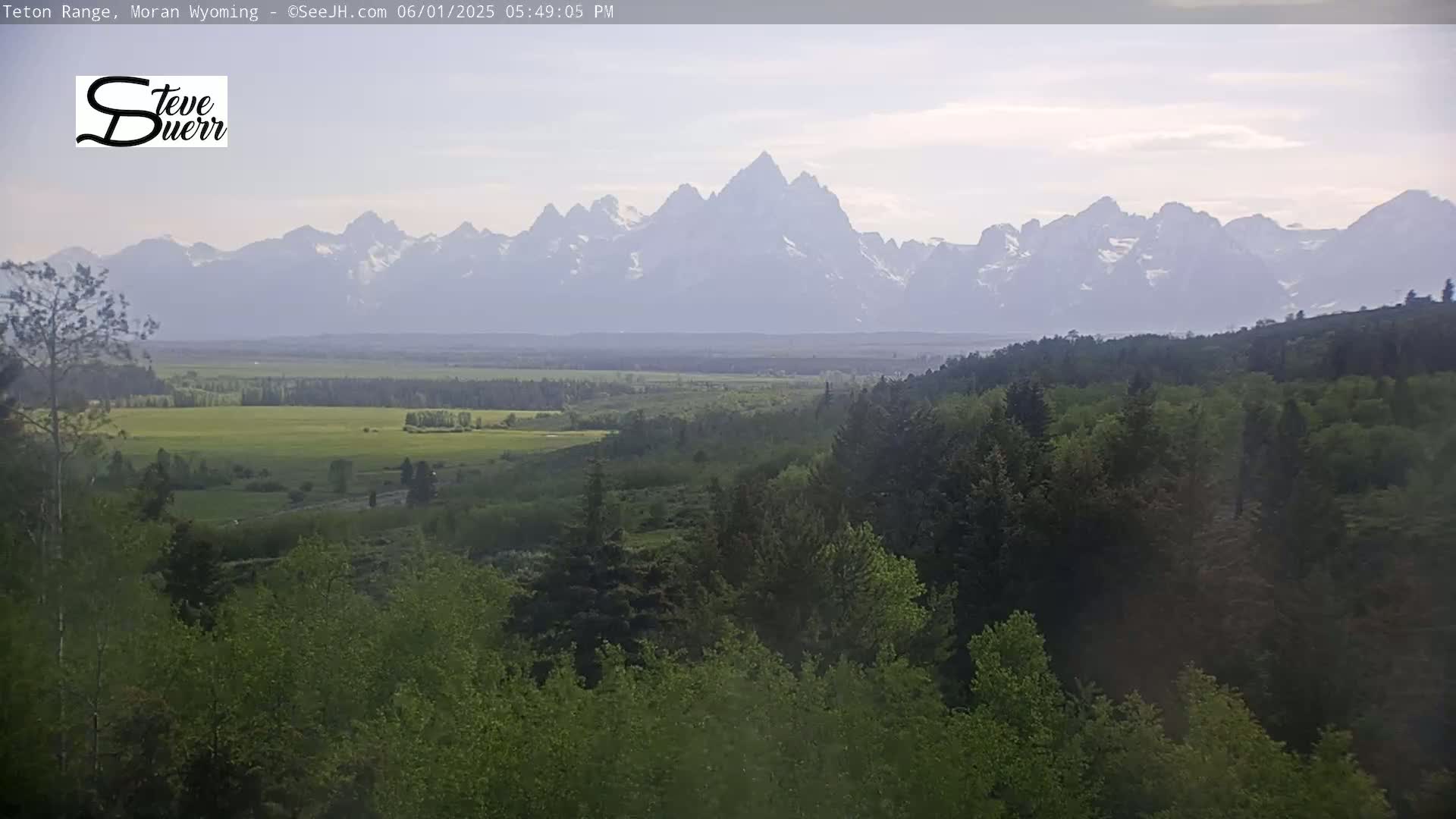 A hazy view shows a lush green valley and forest in the foreground, with a snow-capped mountain range in the background under a partly cloudy sky.
