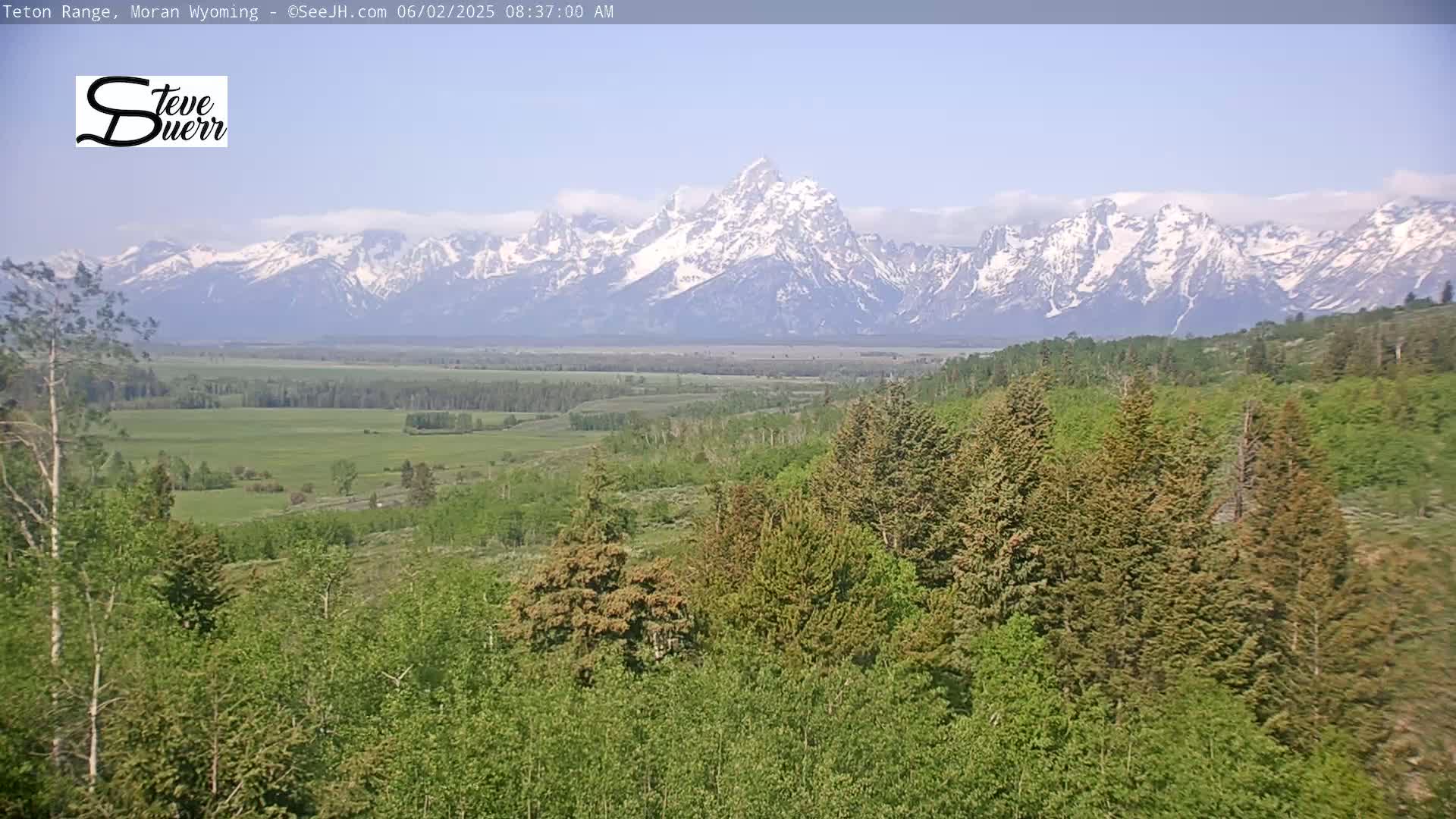 A lush green landscape of trees and fields stretches out before a majestic snow-capped mountain range under a mostly clear sky.