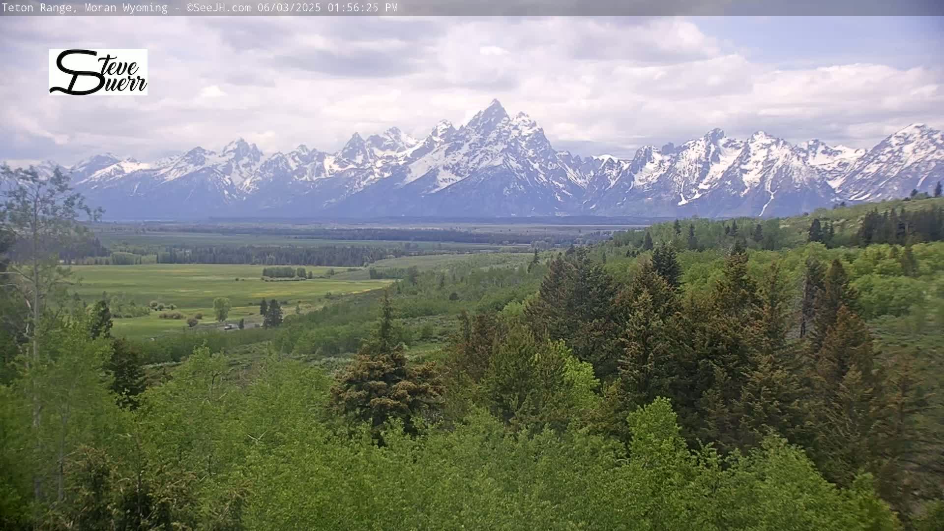 A partly cloudy day reveals a valley of green trees and grass leading to a majestic snow-capped mountain range in the distance.