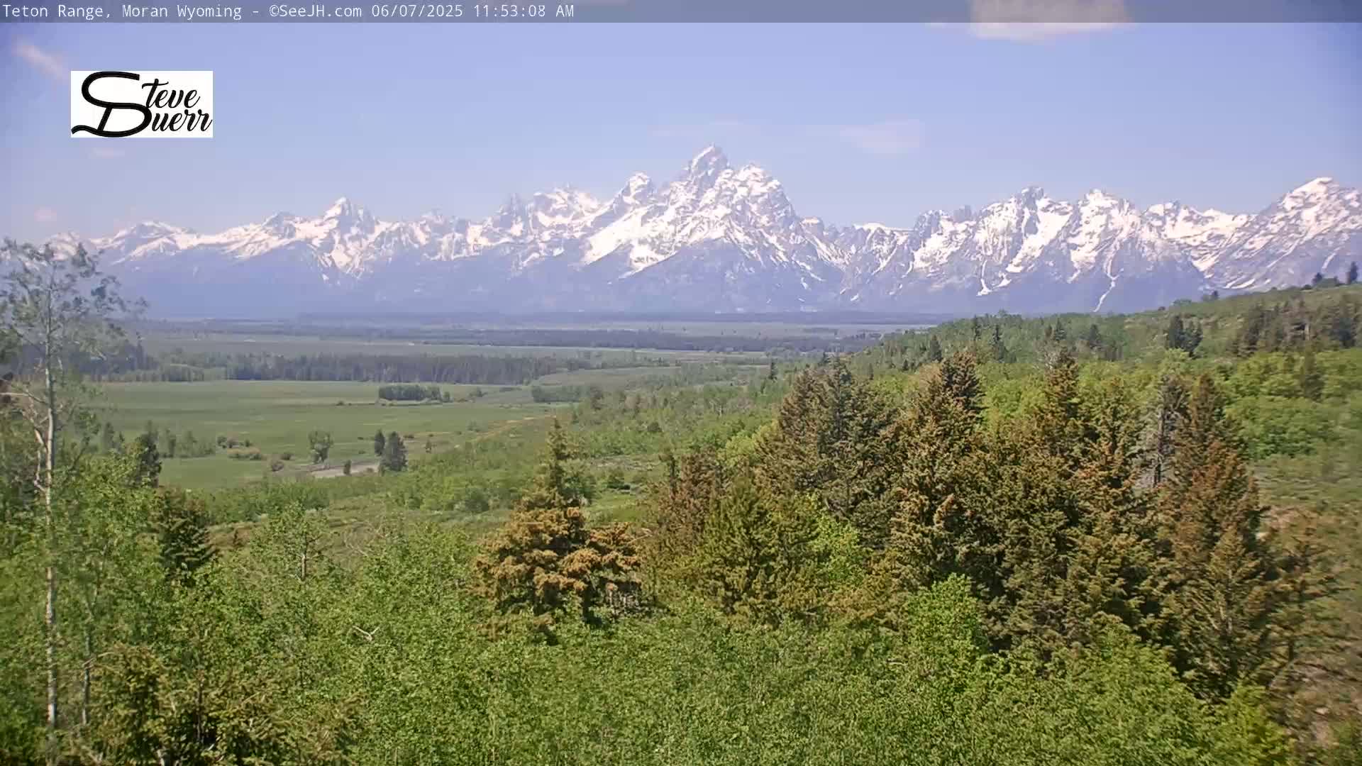 A snow-capped mountain range is visible in the distance, beyond a valley of green trees and grasslands under a clear sky.